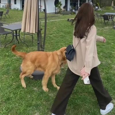 琼宫春怨
